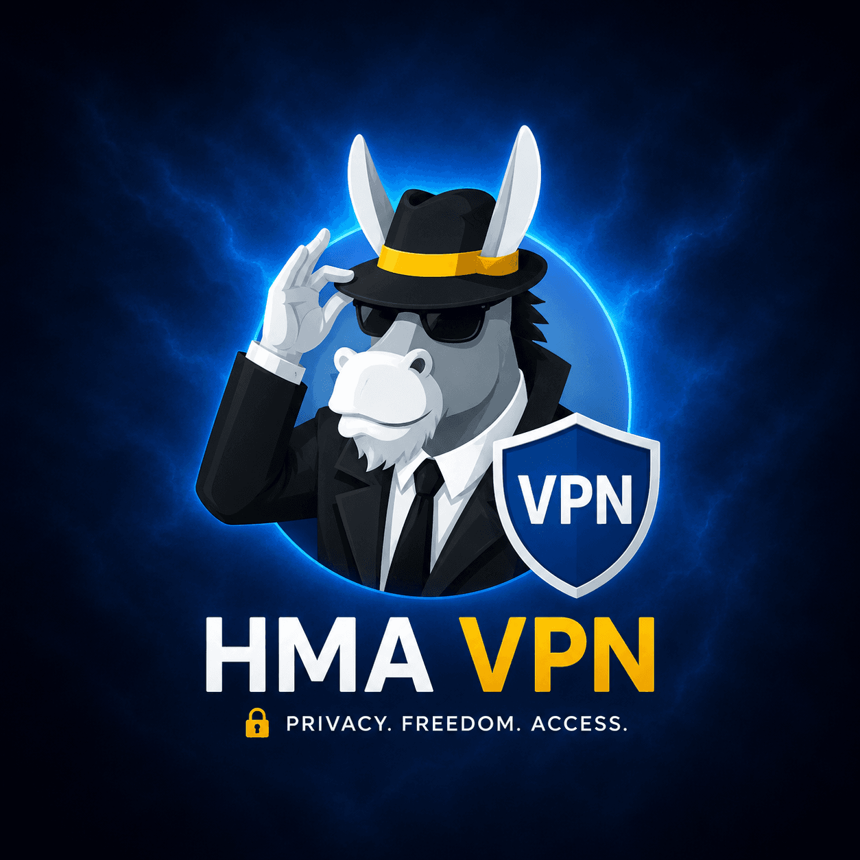 HMA VPN Premium (30 Days)